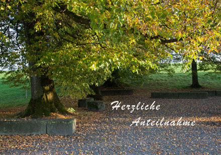 Lindenplatz, Herbstlaub und Spruch