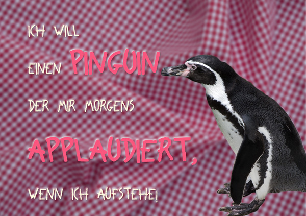 Pinguin auf weiss-rot gehäuseltem Tuch mit Spruch