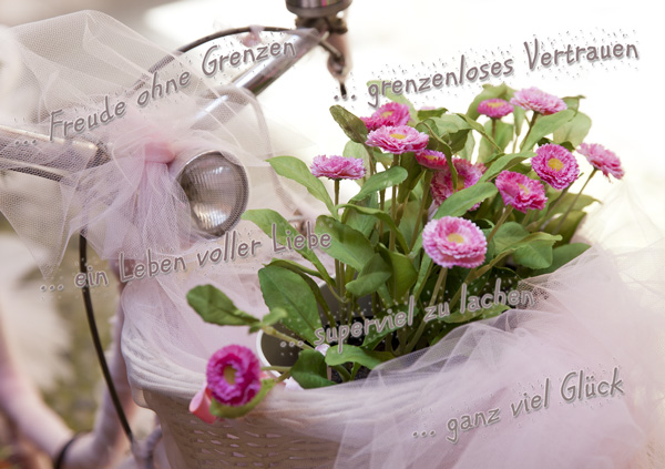 Zur Hochzeit - Velo mit lila Blumen
