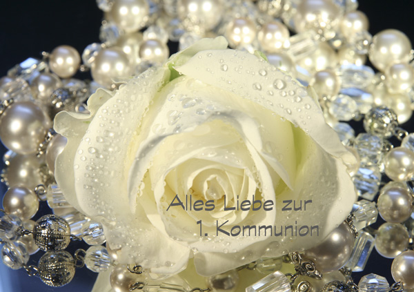 Weisse Rose mit Text "Alles Liebe zur 1. Kommunion"