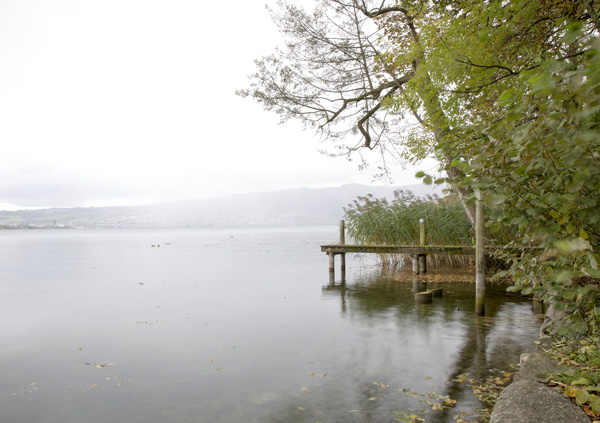 Hünenberg See, am Ufer mit Steg