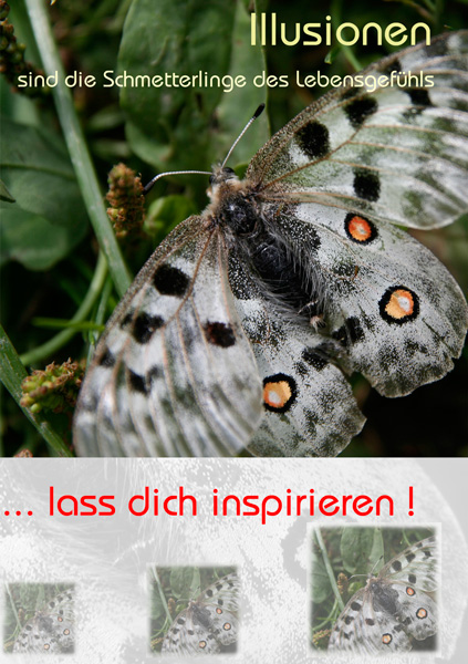 Schmetterling mit Text